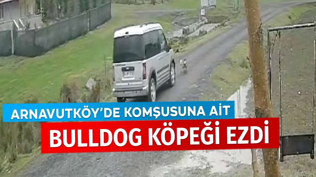 Arnavutköy’de Bulldog köpeği ezip, yoluna devam etti